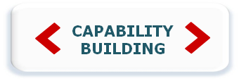 Capability Building1